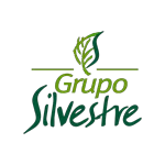 Logo de Grupo Silvestre - Cliente de PMO